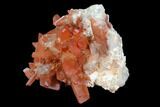 Natural, Red Quartz Crystal Cluster - Morocco #128065-2
